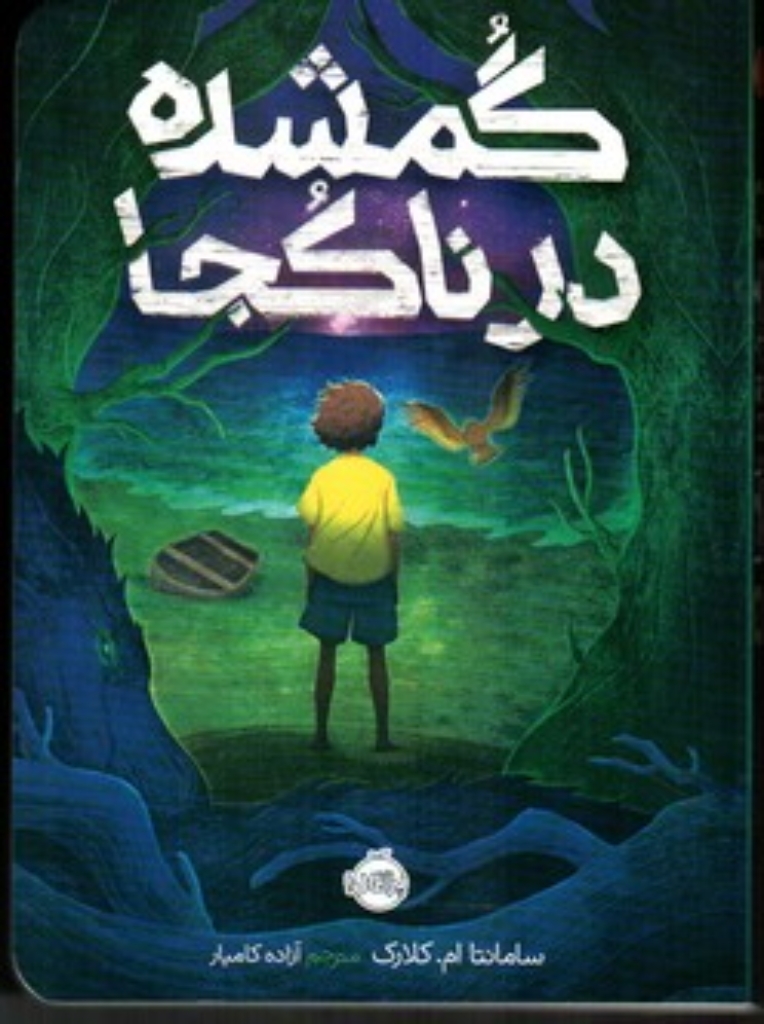 تصویر  گمشده درنا کجا (رقعی-شمیز)